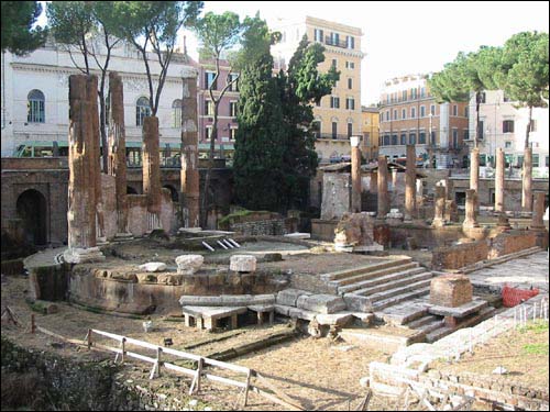 Sacred Area picture, Rome