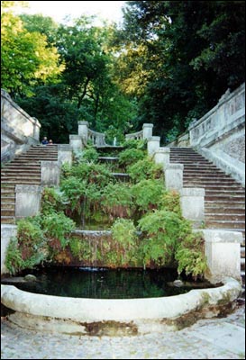 Botanic Gardens, Rome